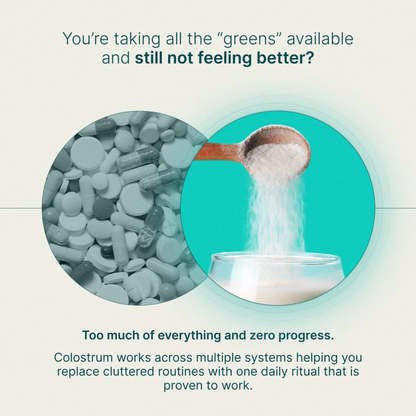 Daily Colostrum