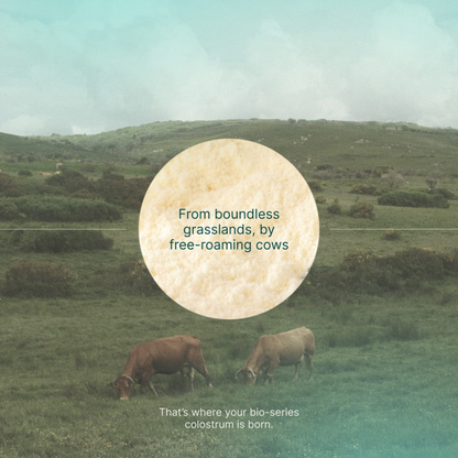 Daily Colostrum